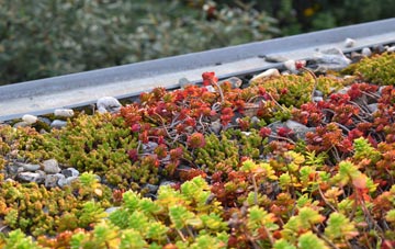 the cost of Blacketts green roof installation