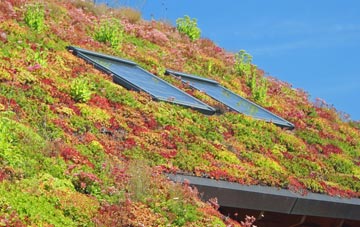 Blacketts living roof systems